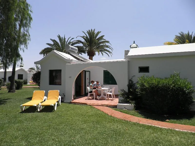 מספאלומס Canary Garden Club